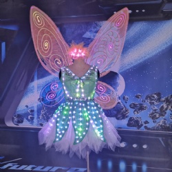 Led butterfly adult performance wings dress