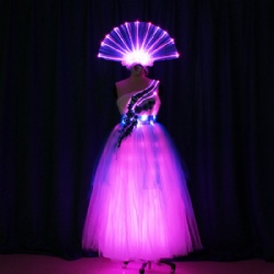 Led performance dress