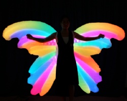 Led light inflatable performance wings