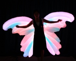 Led light inflatable performance wings