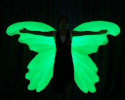 Led light inflatable performance wings
