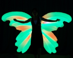 Led light inflatable performance wings