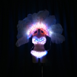 Led bra and pant with led ostrich feather backpack