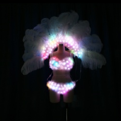Led bra and pant with led ostrich feather backpack