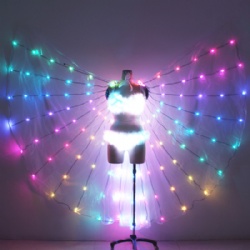 Led dance wings with led bra and pants