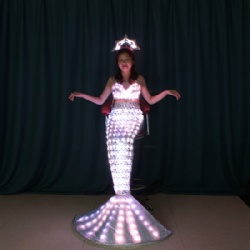 Full color led mermaid dress