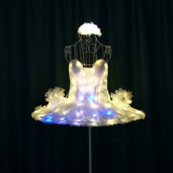 Light up dance ballet dress