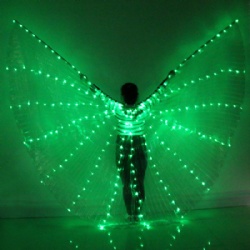 LED发光表演翅膀