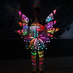 Led light butterfly wings costume