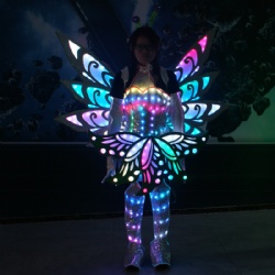 Led light butterfly wings costume