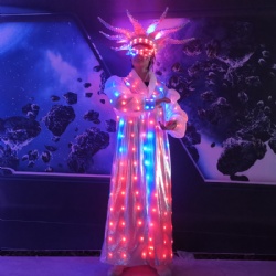 Led light crown carvinal costume