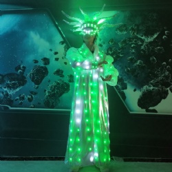 Led light crown carvinal costume