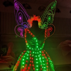 Led butterfly adult performance wings dress