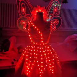 Led butterfly adult performance wings dress