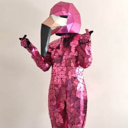 镜面火烈鸟演出服