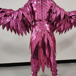 Pink mirror feather performance costumes