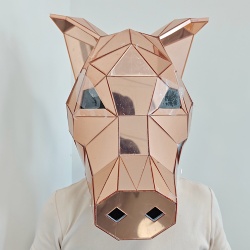 Mirror pig performance head