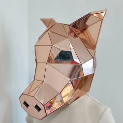 Mirror pig performance head