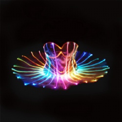 Led light up tutu dress with fiber optic