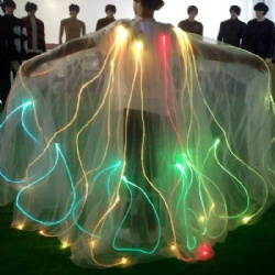 Led light up cloak